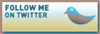 Follow Lingerie Briefs on Twitter!